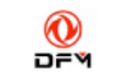 China Heavy Duty Trucks Market key player