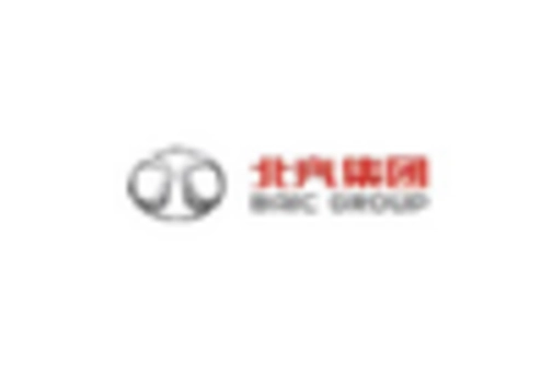 China Heavy Duty Trucks Market key player