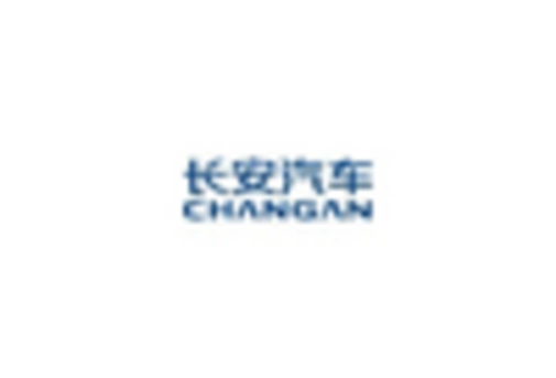 China Heavy Duty Trucks Market key player