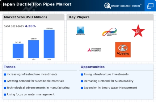 Japan Ductile Iron Pipes Market Infographic