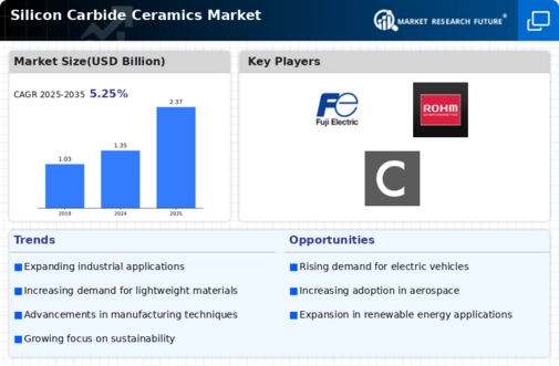 Silicon Carbide Ceramics Market Infographic