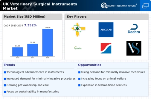 UK Veterinary Surgical Instruments Market Infographic