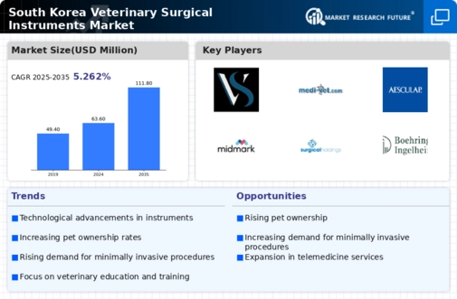 South Korea Veterinary Surgical Instruments Market Infographic