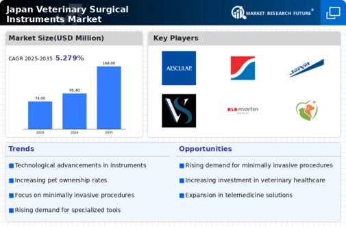 Japan Veterinary Surgical Instruments Market Infographic