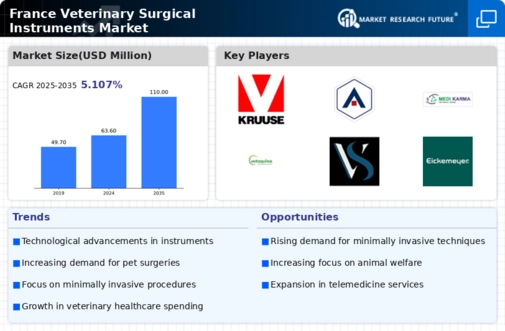 France Veterinary Surgical Instruments Market Infographic