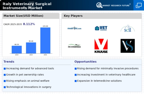 Italy Veterinary Surgical Instruments Market Infographic