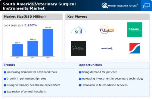 South America Veterinary Surgical Instruments Market Infographic