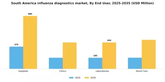 South America Influenza Diagnostics Market Segment Image 0
