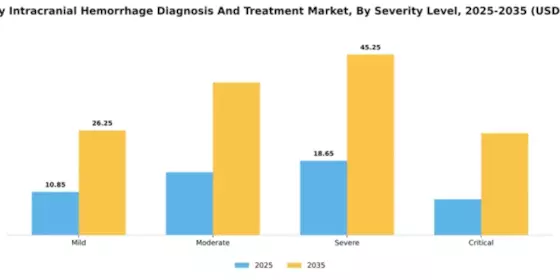 Germany Intracranial Hemmorhage Diagnosis Treatment Market Segment Image 2
