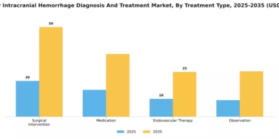 Germany Intracranial Hemmorhage Diagnosis Treatment Market Segment Image 3