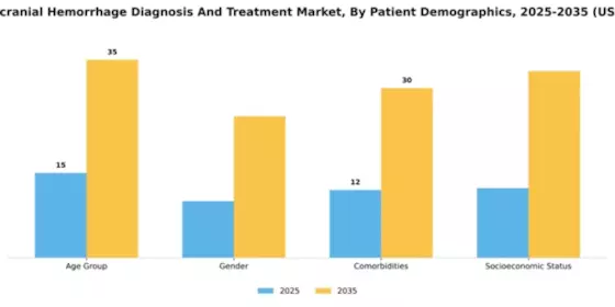GCC Intracranial Hemmorhage Diagnosis Treatment Market Segment Image 1