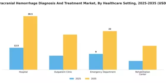 Italy Intracranial Hemmorhage Diagnosis Treatment Market Segment Image 1