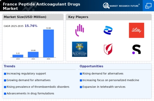 France Peptide Anticoagulant Drugs Market Infographic