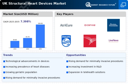UK Structural Heart Devices Market Infographic