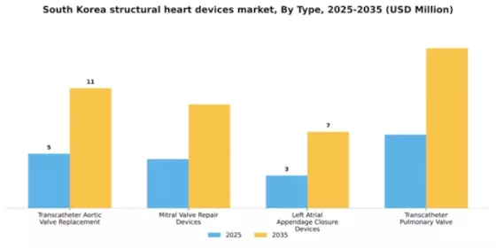 South Korea Structural Heart Devices Market Segment Image 3