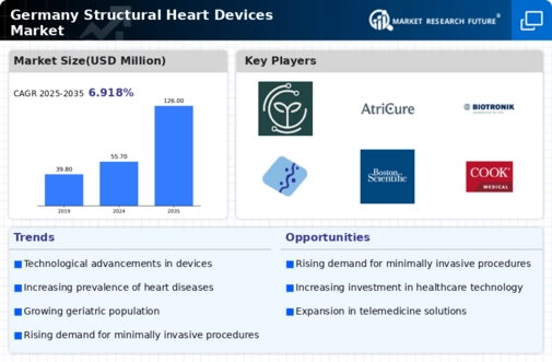 Germany Structural Heart Devices Market Infographic