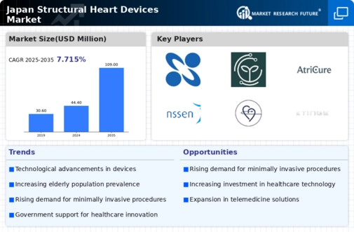Japan Structural Heart Devices Market Infographic