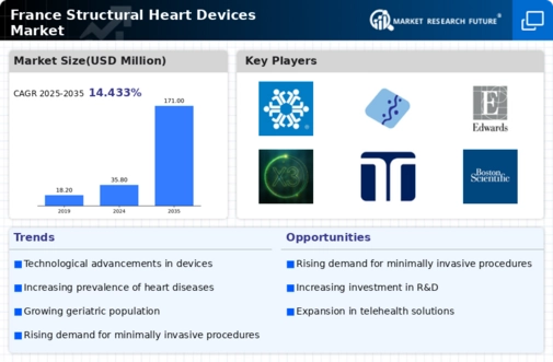 France Structural Heart Devices Market Infographic