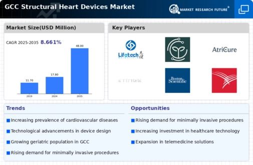 GCC Structural Heart Devices Market Infographic