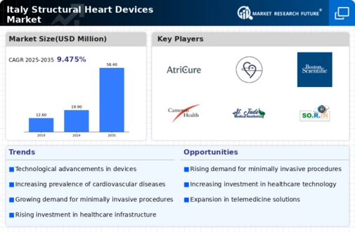 Italy Structural Heart Devices Market Infographic