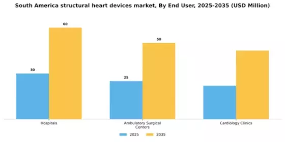 South America Structural Heart Devices Market Segment Image 0