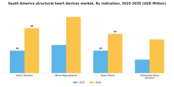 South America Structural Heart Devices Market Segment Image 1