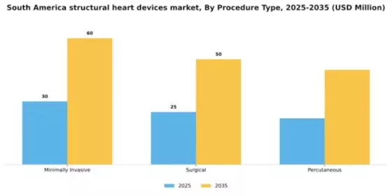 South America Structural Heart Devices Market Segment Image 2