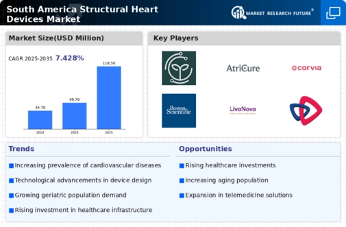 South America Structural Heart Devices Market Infographic