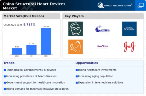 China Structural Heart Devices Market Infographic