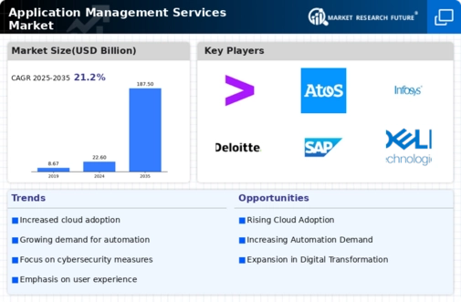 Application Management Services Market Infographic