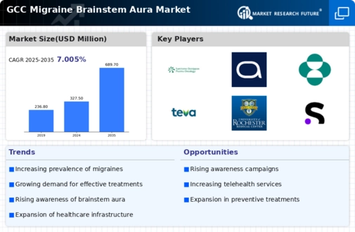 GCC Migraine Brainstem Aura Market Infographic