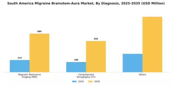 South America Migraine Brainstem Aura Market Segment Image 0