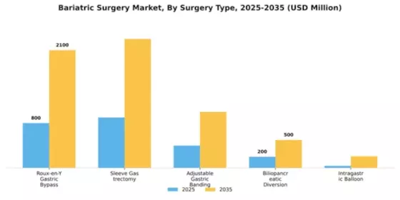 Bariatric Surgery Market Segment Image 1