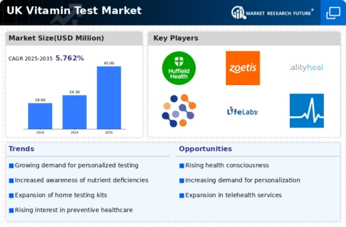 UK Vitamin Test Market Infographic