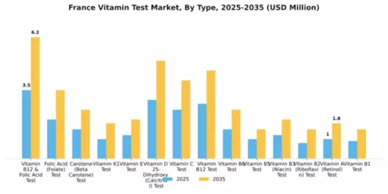 France Vitamin Test Market Segment Image 2