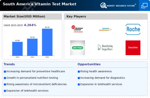 South America Vitamin Test Market Infographic