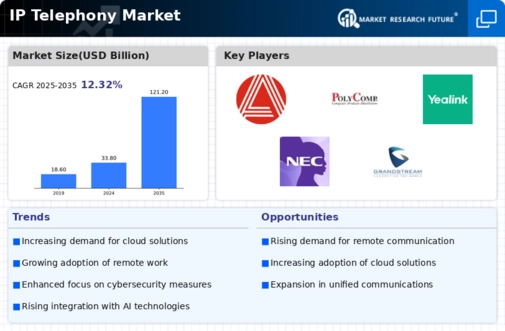 IP Telephony Market Infographic