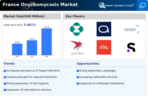 France Onychomycosis Market Infographic