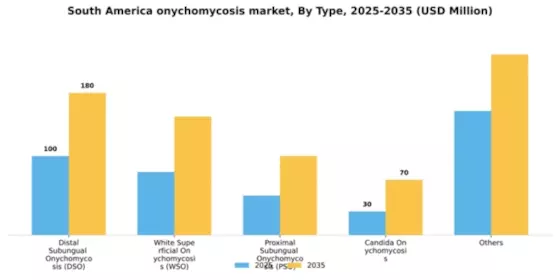South America Onychomycosis Market Segment Image 2
