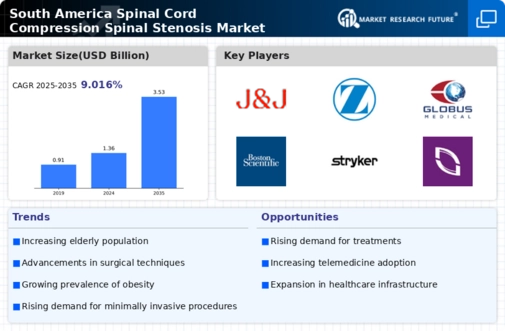 South America Spinal Cord Compression Spinal Stenosis Market Infographic