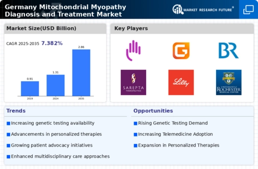 Germany Mitochondrial Myopathy Diagnosis Treatment Market Infographic