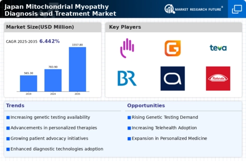 Japan Mitochondrial Myopathy Diagnosis Treatment Market Infographic