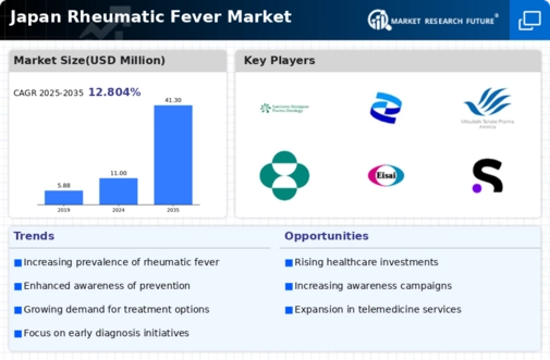 Japan Rheumatic Fever Market Infographic