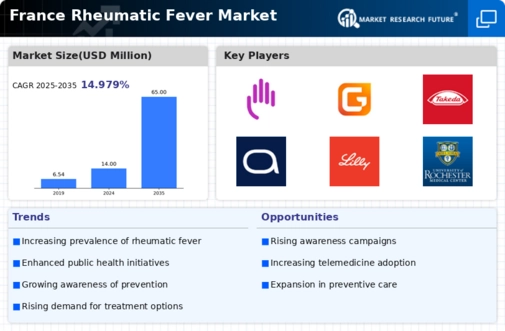 France Rheumatic Fever Market Infographic