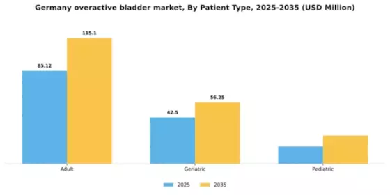 Germany Overactive Bladder Treatment Market Segment Image 1