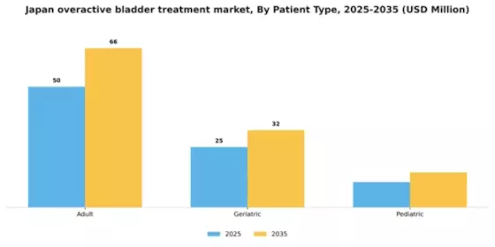 Japan Overactive Bladder Treatment Market Segment Image 1