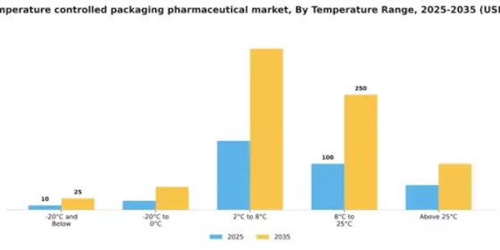 Brazil Temperature Controlled Packaging Pharmaceutical Market Segment Image 4