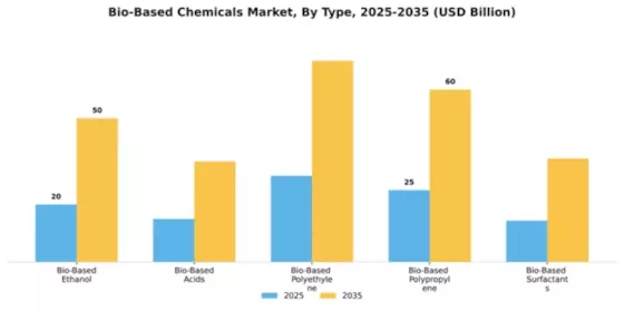 Bio-Based Chemicals Market Segment Image 4