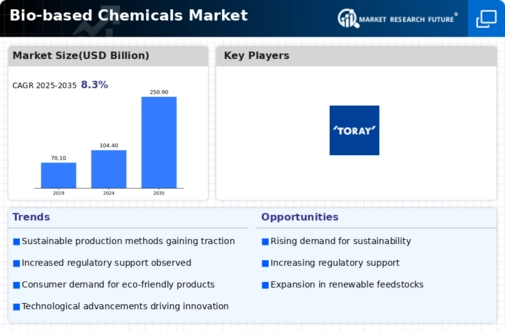 Bio-Based Chemicals Market Infographic