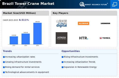 Brazil Tower Crane Market Infographic